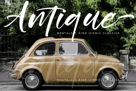 Rustling Kingdom - Modern Script Font Font Letterena Studios 