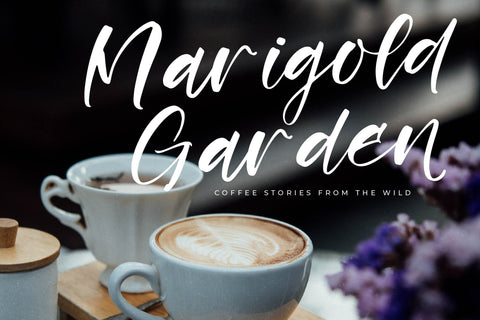 Rustling Kingdom - Modern Script Font Font Letterena Studios 