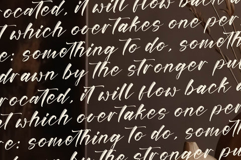 Ruthlles Monolith - Modern Handbrush Script Font Letterena Studios 