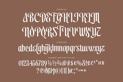 Safaniah - Arabic Style Font Arterfak Project 