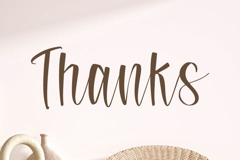 Safferty - Modern Handwritten Script Font Letterena Studios 