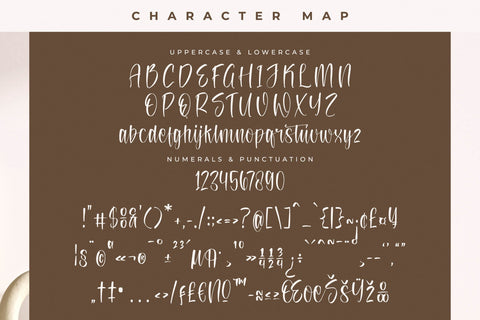 Safferty - Modern Handwritten Script Font Letterena Studios 