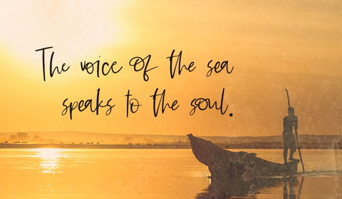 Saffron Night Signature Script Font Font Beck McCormick 