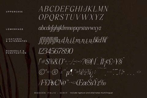 Sageffine Typeface Font Storytype Studio 