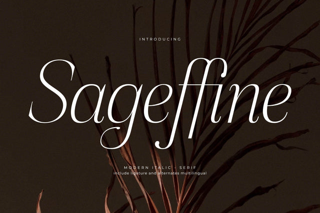 Sageffine Typeface Font Storytype Studio 