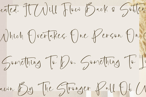 Sagetsock - Modern Handwritten Script Font Letterena Studios 