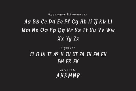 Saigren - Serif Display Font Font twinletter 