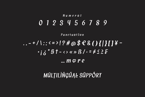 Saigren - Serif Display Font Font twinletter 