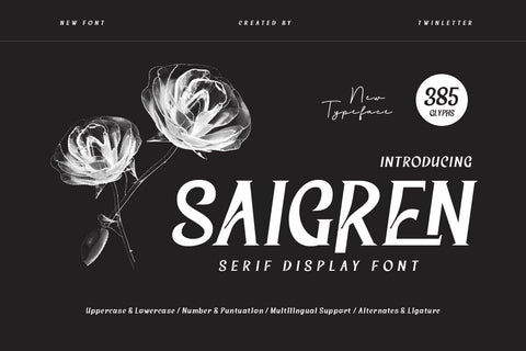 Saigren - Serif Display Font Font twinletter 