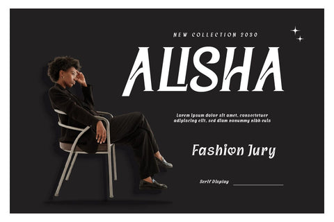 Saigren - Serif Display Font Font twinletter 