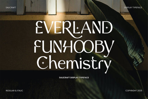 Salicraft Font gatype 