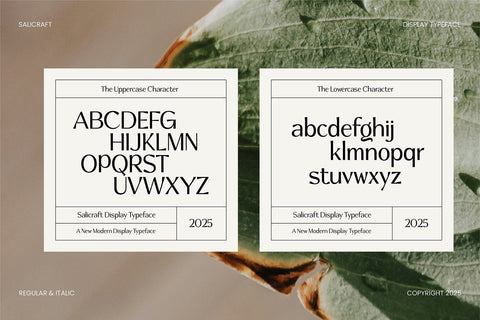 Salicraft Font gatype 