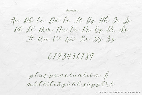 Salt and Sea Calligraphy Font Font Beck McCormick 
