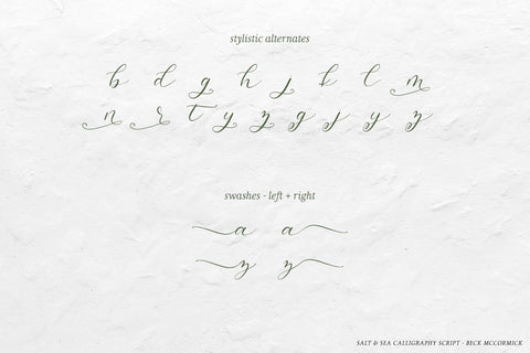 Salt and Sea Calligraphy Font Font Beck McCormick 