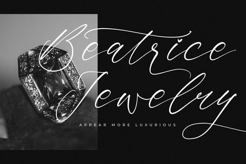 Saltngos - Modern Calligraphy Font Letterena Studios 