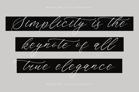 Saltngos - Modern Calligraphy Font Letterena Studios 