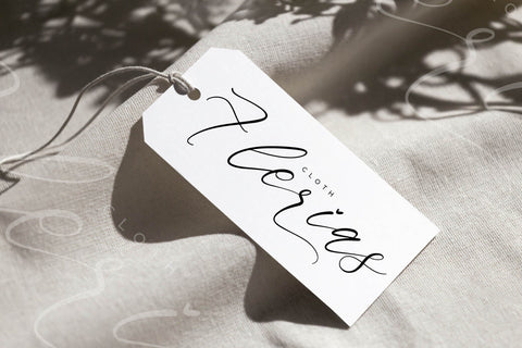 Saltngos - Modern Calligraphy Font Letterena Studios 