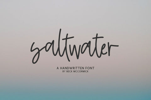 Saltwater Script Font Font Beck McCormick 
