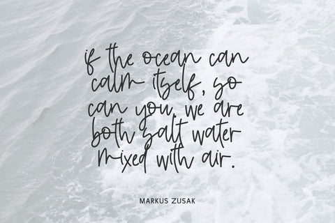 Saltwater Script Font Font Beck McCormick 