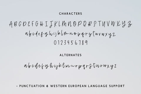 Saltwater Script Font Font Beck McCormick 