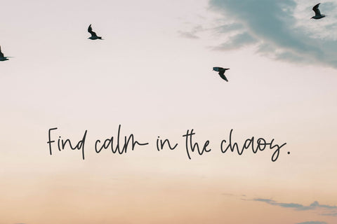 Saltwater Script Font Font Beck McCormick 