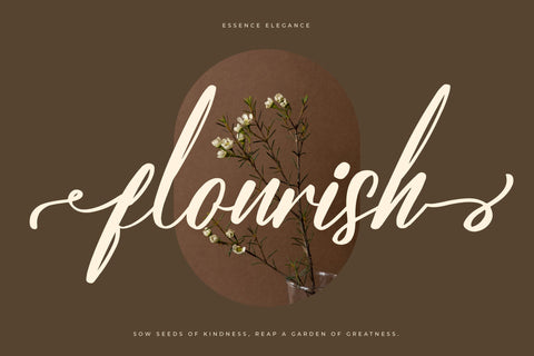 Salyatori Quinbella - Beauty Handwritten Script Font Letterena Studios 