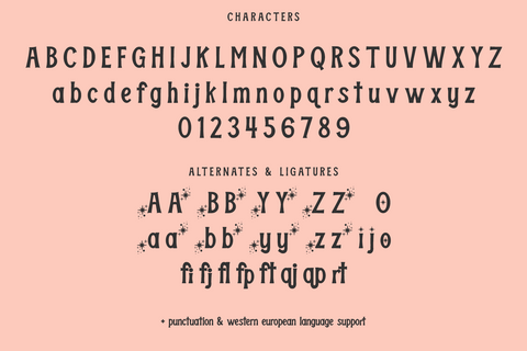 Sanderson Serif Display Font Font Beck McCormick 