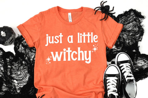 Sanderson Serif Display Font Font Beck McCormick 