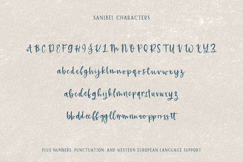 Sanibel Brush Font Font Beck McCormick 