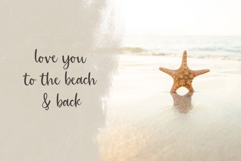 Sanibel Brush Font Font Beck McCormick 