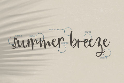 Sanibel Brush Font Font Beck McCormick 