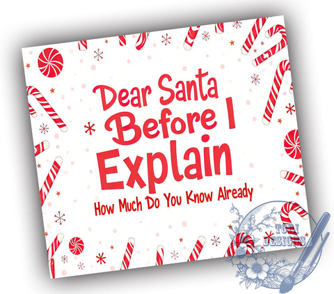 Santa Tumbler, Funny Christmas Gift, Sublimation Design, 20oz Tumbler, Holiday Humor, Personalized Tumbler, Christmas Mug, Dear Santa Gift Sublimation ToriDesigns 