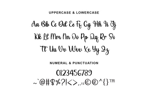 Santoria - Elegant Script Font Font Yuby 