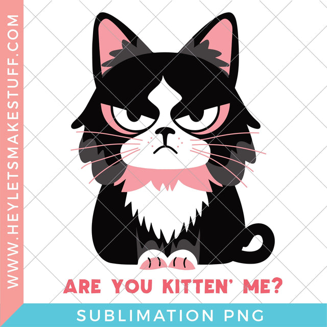 Sarcastic Cat Are You Kitten Me - Sublimation Sublimation Hey Let's Make Stuff 