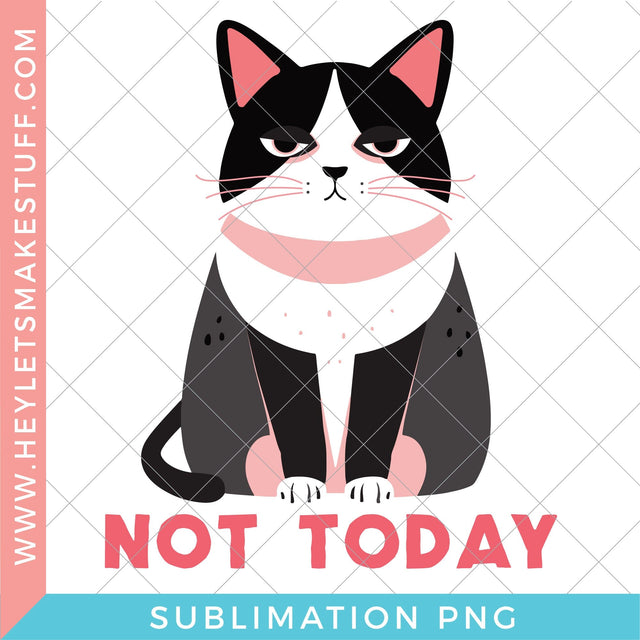 Sarcastic Not Today Cat - Sublimation Sublimation Hey Let's Make Stuff 