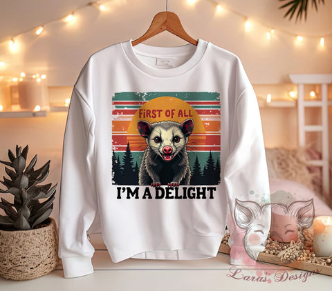Sarcastic Opossum, Opossum Lover, Retro Design, Funny Animals, Angry Opossum, Delight Quote, Animal PNG, Digital Download Sublimation Lara' s Designs 