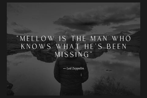 Sargie - Elegant Sans Font studioalmeera 