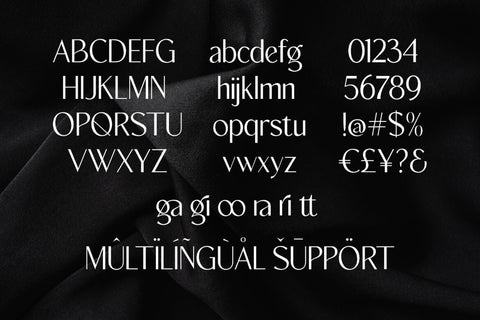 Sargie - Elegant Sans Font studioalmeera 