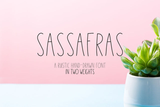 Sassafras Sans - Regular and Bold Weights Font Beck McCormick 