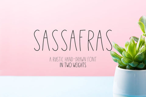 Sassafras Sans - Regular and Bold Weights Font Beck McCormick 