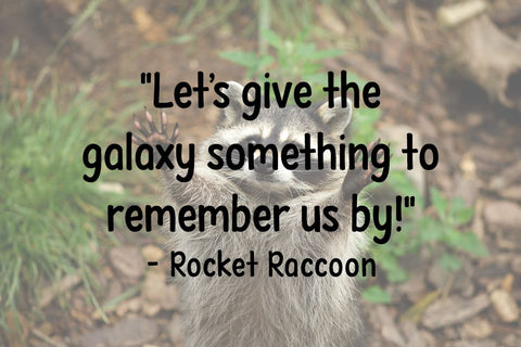 Sassy Raccoon Font Misti's Fonts 