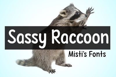 Sassy Raccoon Font Misti's Fonts 