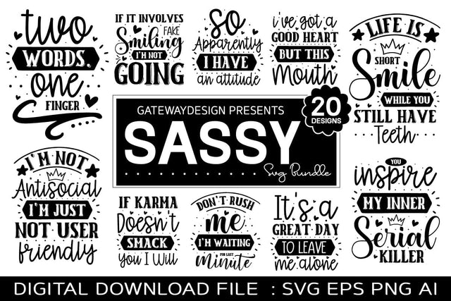 Sassy Svg Bundle, Funny Design, Farmhouse Design SVG designmaster24 