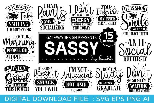 Sassy Svg Bundle, Funny Design, Farmhouse Design SVG designmaster24 