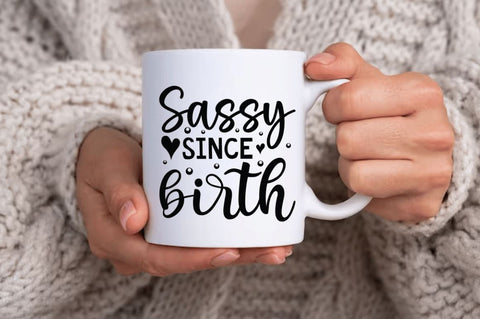 Sassy SVG Bundle SVG Designangry 