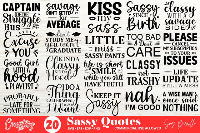 Sassy SVG Bundle SVG Designangry 