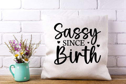 Sassy SVG Bundle SVG Designangry 