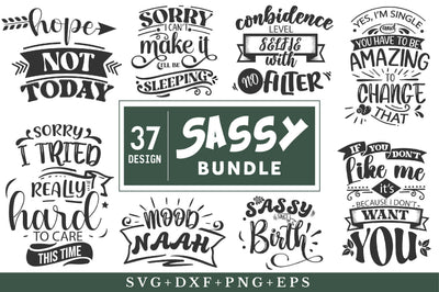 Sassy Svg Bundle SVG Rupkotha 