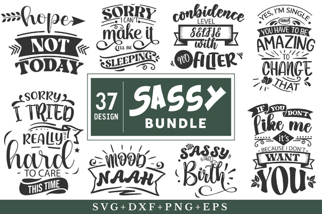 Sassy Svg Bundle SVG Rupkotha 