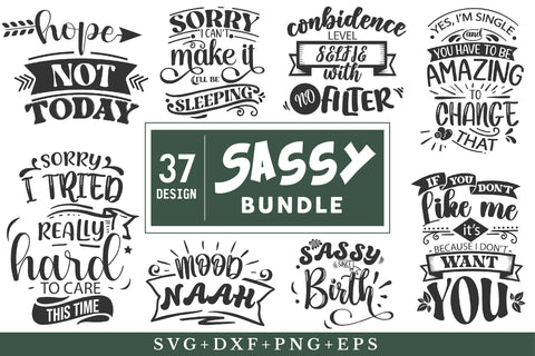 Sassy Svg Bundle SVG Rupkotha 